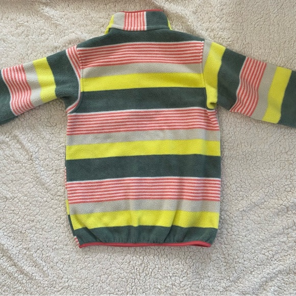 Patagonia Synchilla Snap-T Fleece Pullover Fitz Striped - Picture 3 of 5